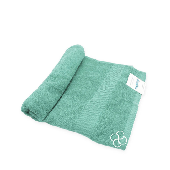 Cannon Spring Meadow S.Blue Bath Towel 27"x54"