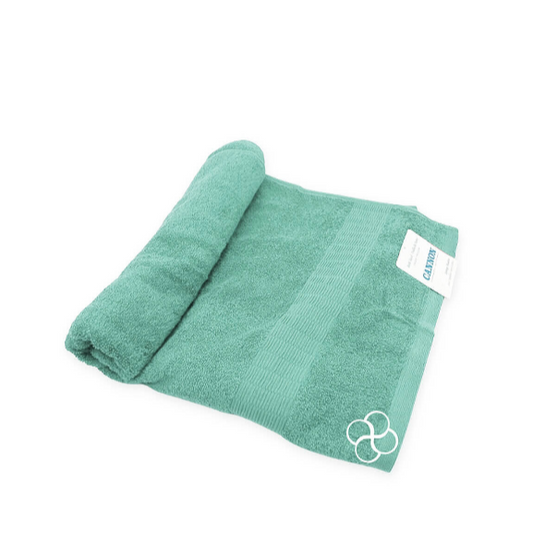 Cannon Spring Meadow S.Blue Bath Towel 27"x54"